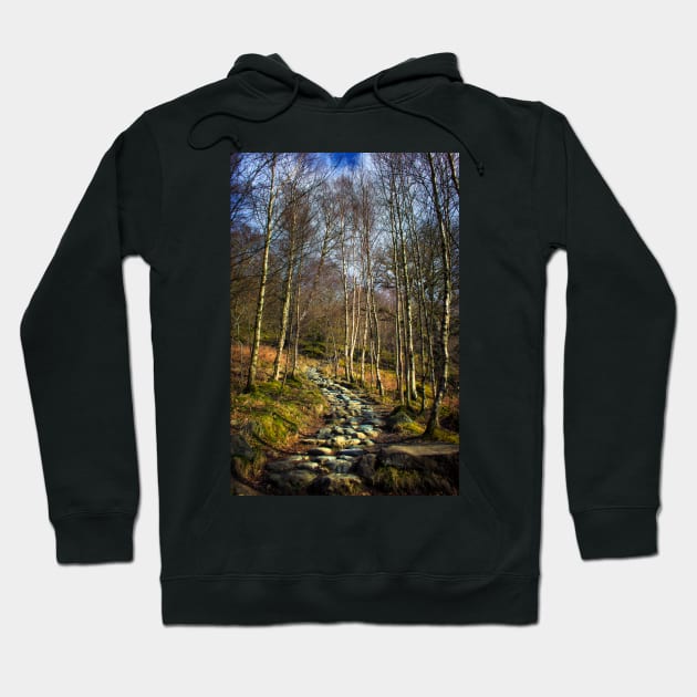 Way to Wander Hoodie by InspiraImage